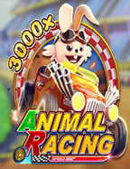 sbobet โปร โม ชั่ น ดี ที่สุด ที่คุณต้องไม่พลาด